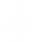 Mr Maia 